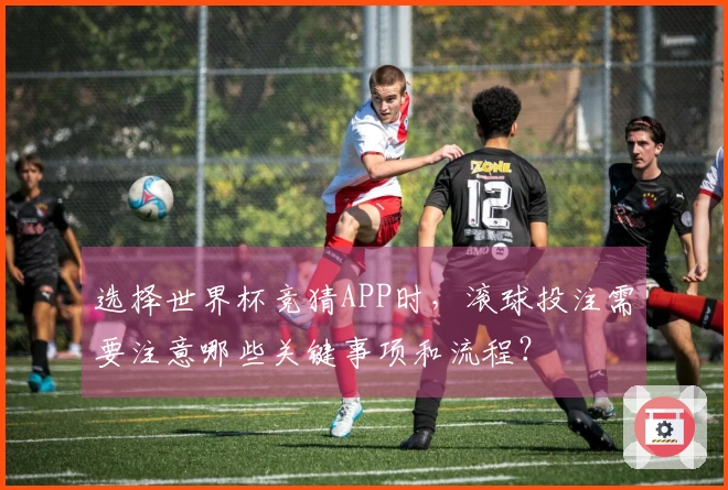 选择世界杯竞猜APP时，滚球投注需要注意哪些关键事项和流程？