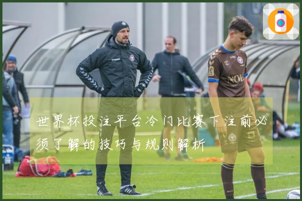 世界杯投注平台冷门比赛下注前必须了解的技巧与规则解析