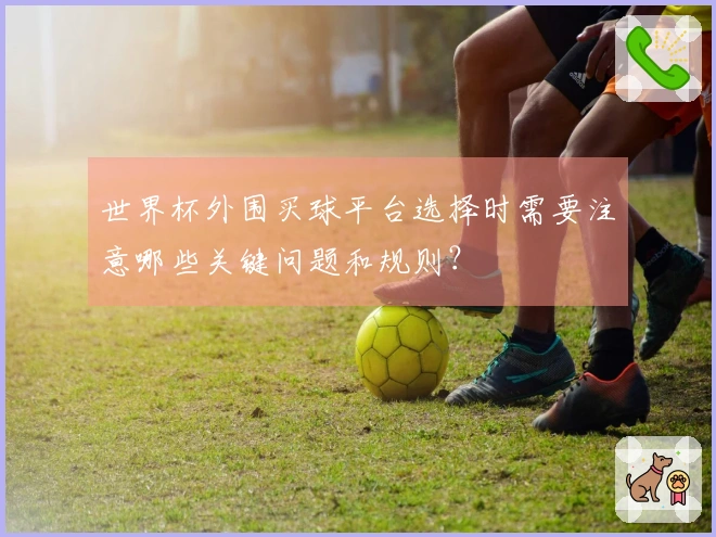 世界杯外围买球平台选择时需要注意哪些关键问题和规则？