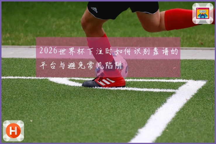 2026世界杯下注时如何识别靠谱的平台与避免常见陷阱